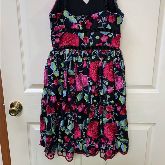 Beautiful Nicole Miller Lace Dress - Picture 5 of 7